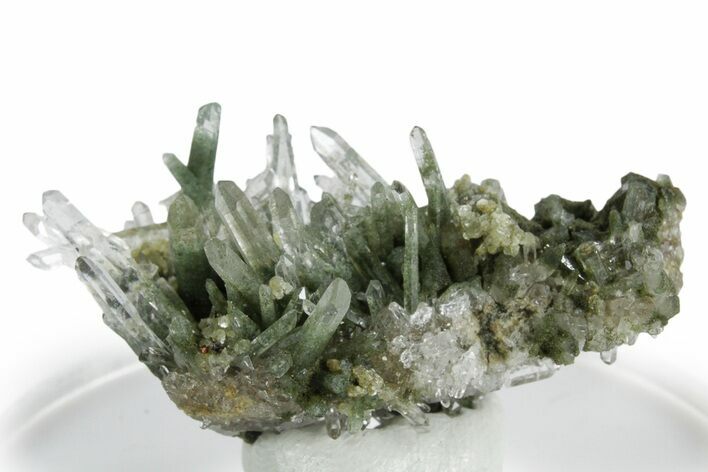 Chlorite Included Quartz Crystal Cluster - Peru #347795